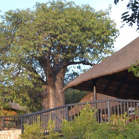 Adansonia Eco Lodge Мусина Экстерьер фото