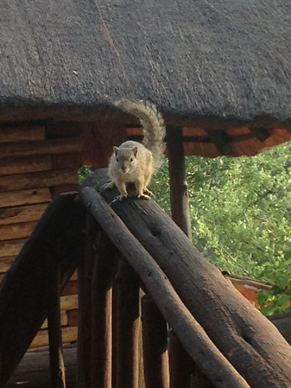 Adansonia Eco Lodge Мусина Экстерьер фото