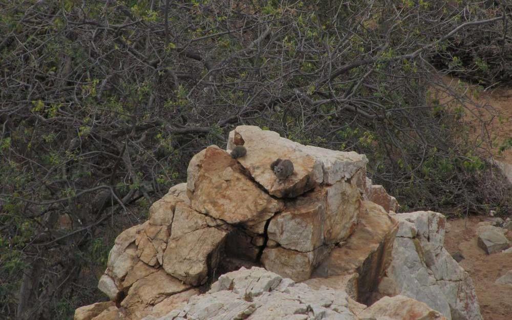 Adansonia Eco Lodge Мусина Экстерьер фото