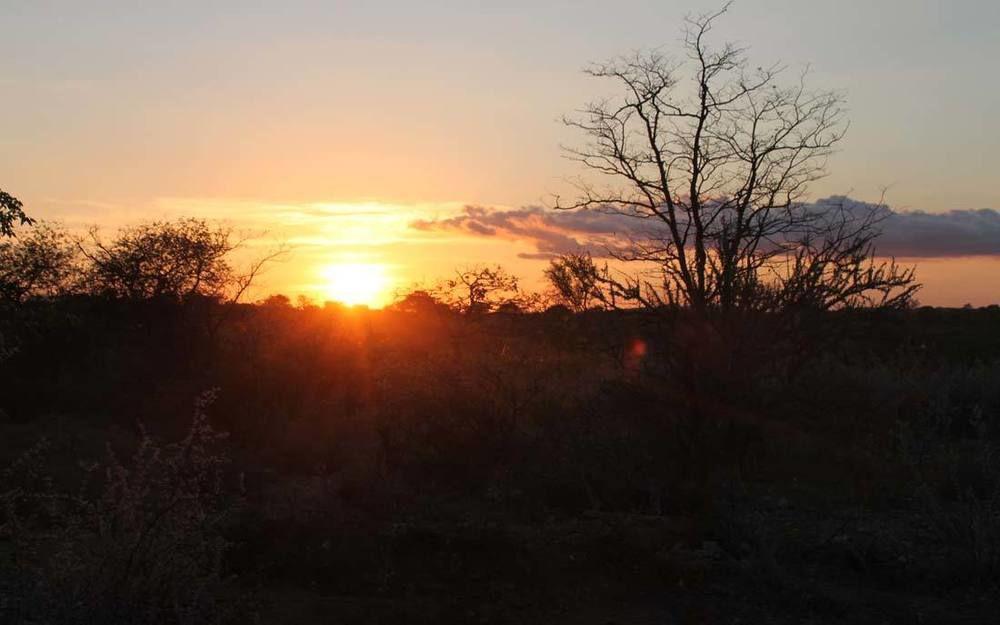 Adansonia Eco Lodge Мусина Экстерьер фото