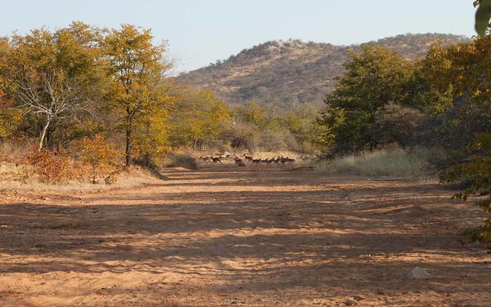 Adansonia Eco Lodge Мусина Экстерьер фото