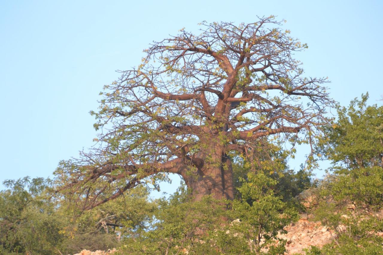 Adansonia Eco Lodge Мусина Экстерьер фото