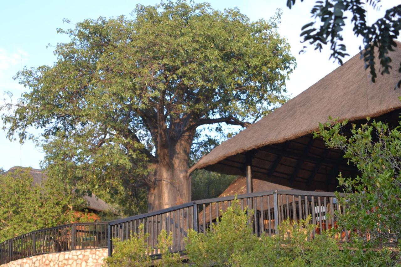 Adansonia Eco Lodge Мусина Экстерьер фото