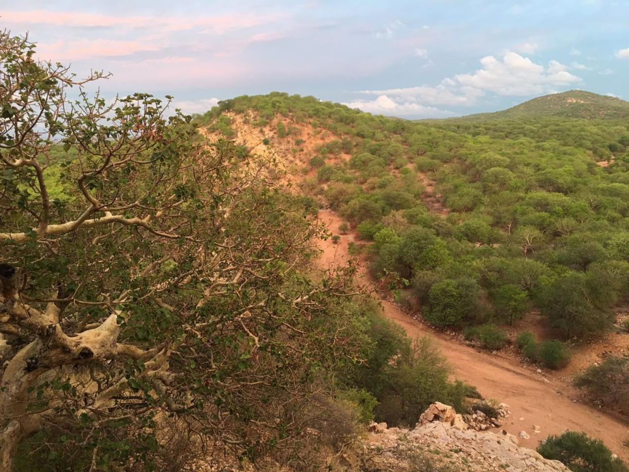 Adansonia Eco Lodge Мусина Экстерьер фото