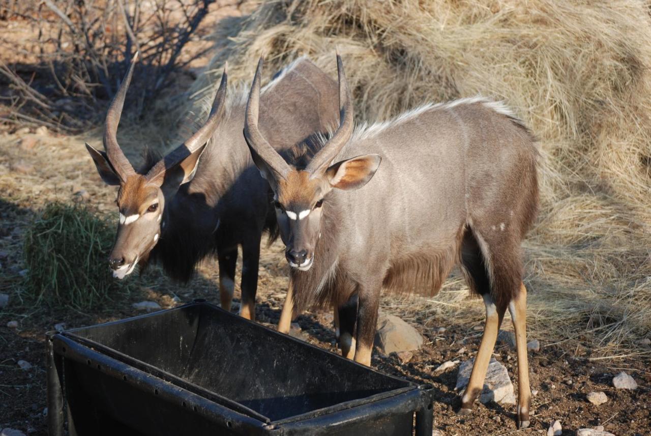 Adansonia Eco Lodge Мусина Экстерьер фото