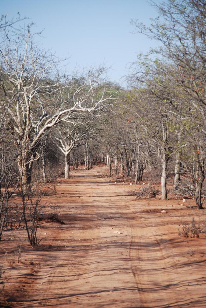 Adansonia Eco Lodge Мусина Экстерьер фото